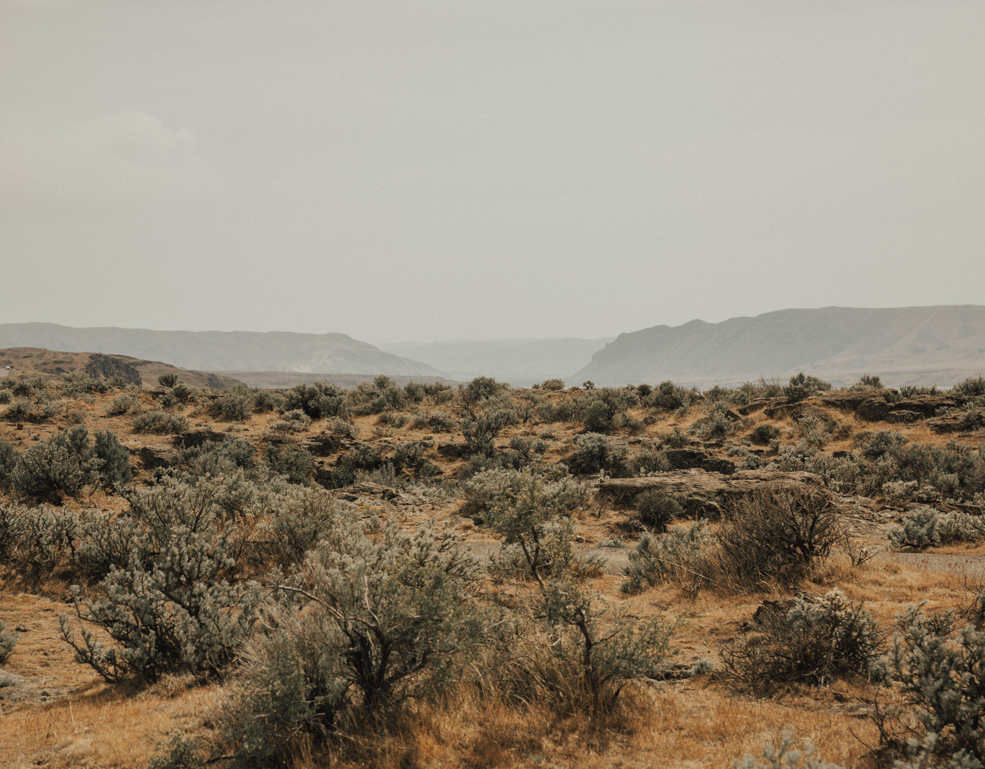 Dessert Landscape with Hills
