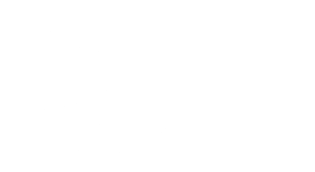 3D Conservation Group Mallard  Icon