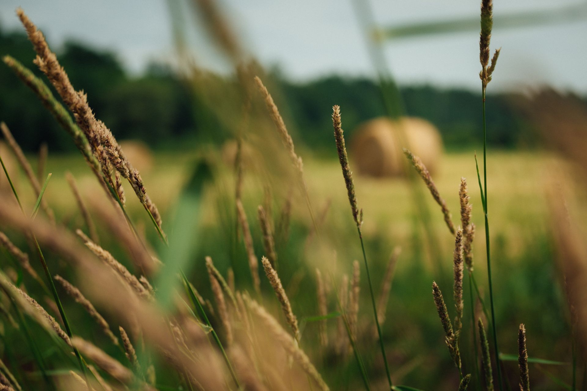 3D Conservation: We Buy Land