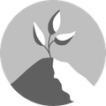 A plant is growing out of the ground in a circle.