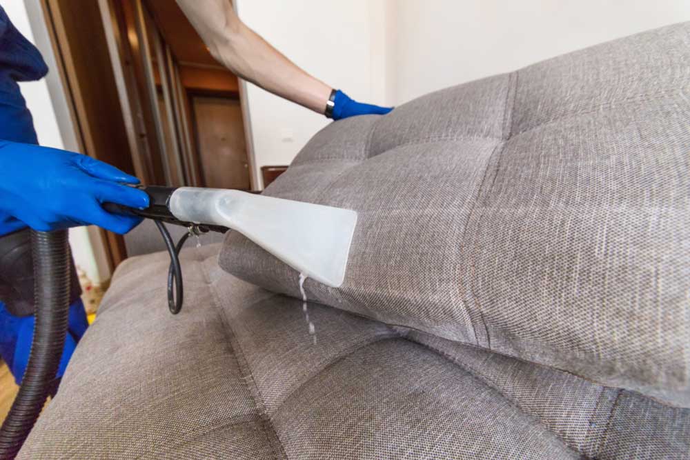 A professional cleaner cleaning an upholstery in Rockhampton