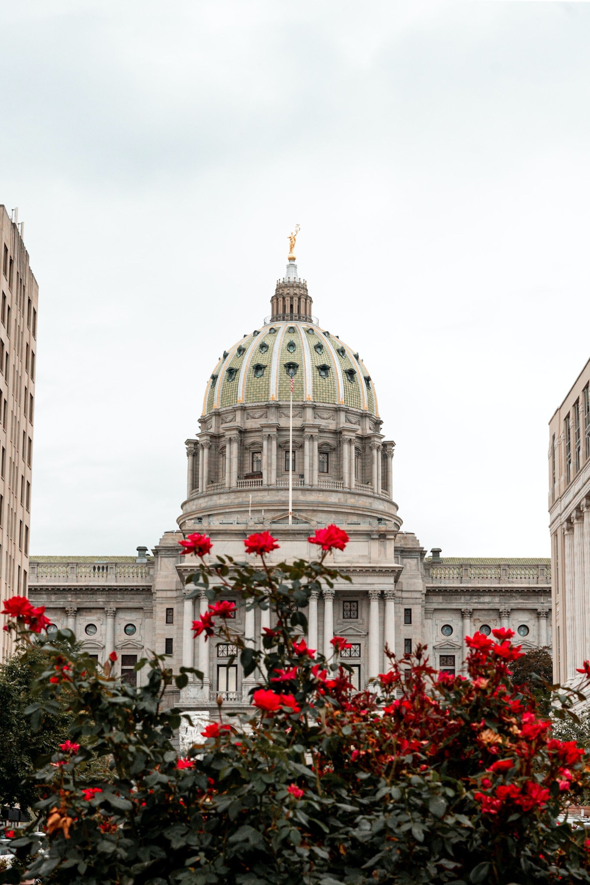 A large building with a dome and red roses in front of it.