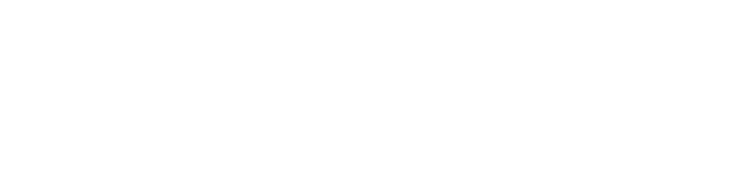 Caroline Mondo Cleaning Services logo