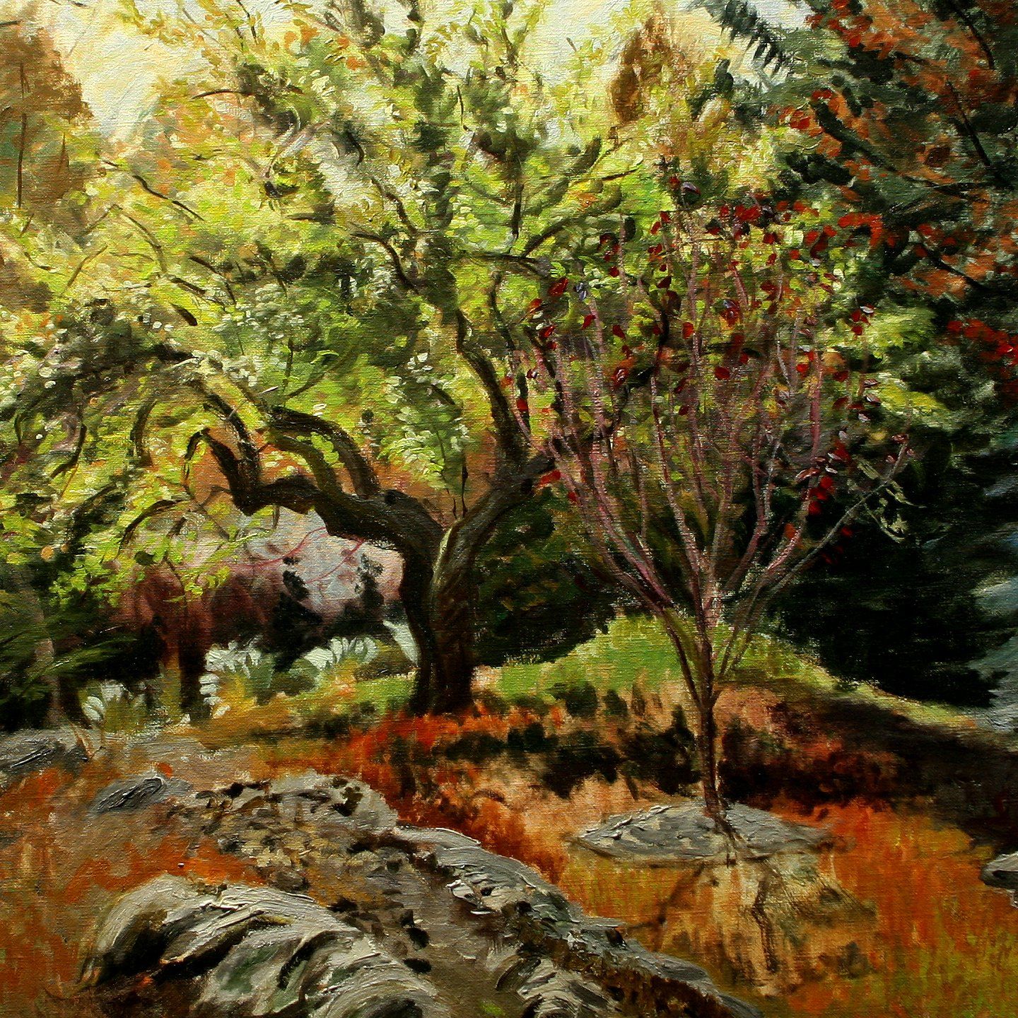 John Varriano Landscape Oil Painting: Apple Blossom