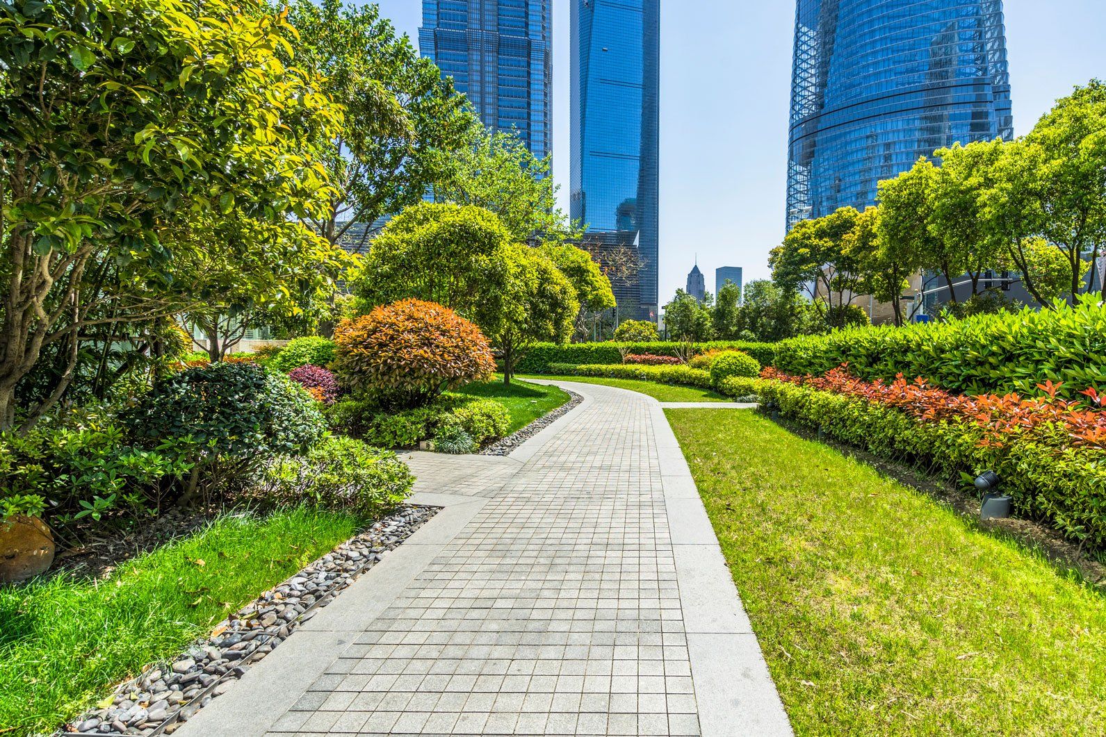 A path in a park with tall buildings in the background.