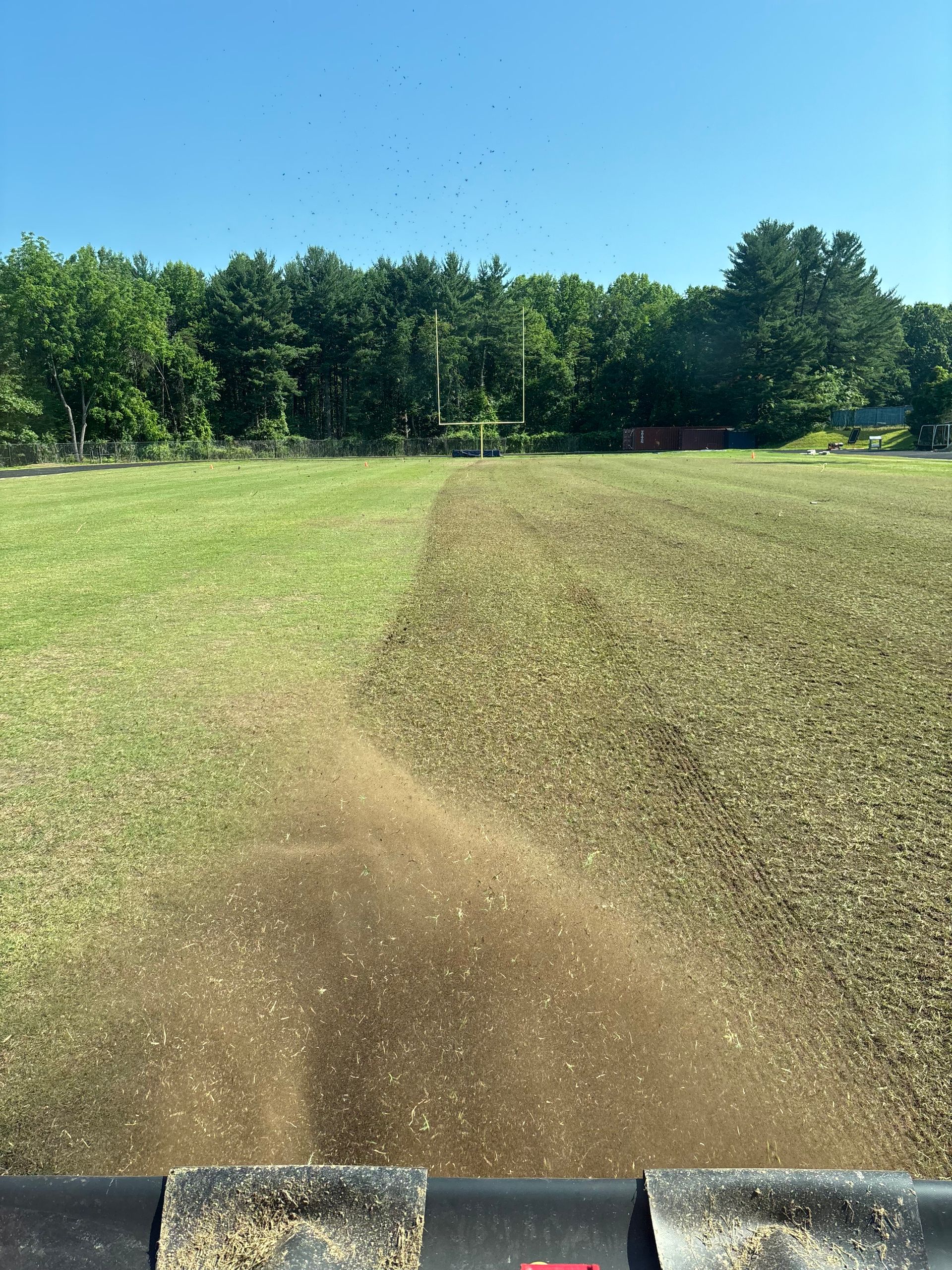 A field of grass and dirt with trees in the background.