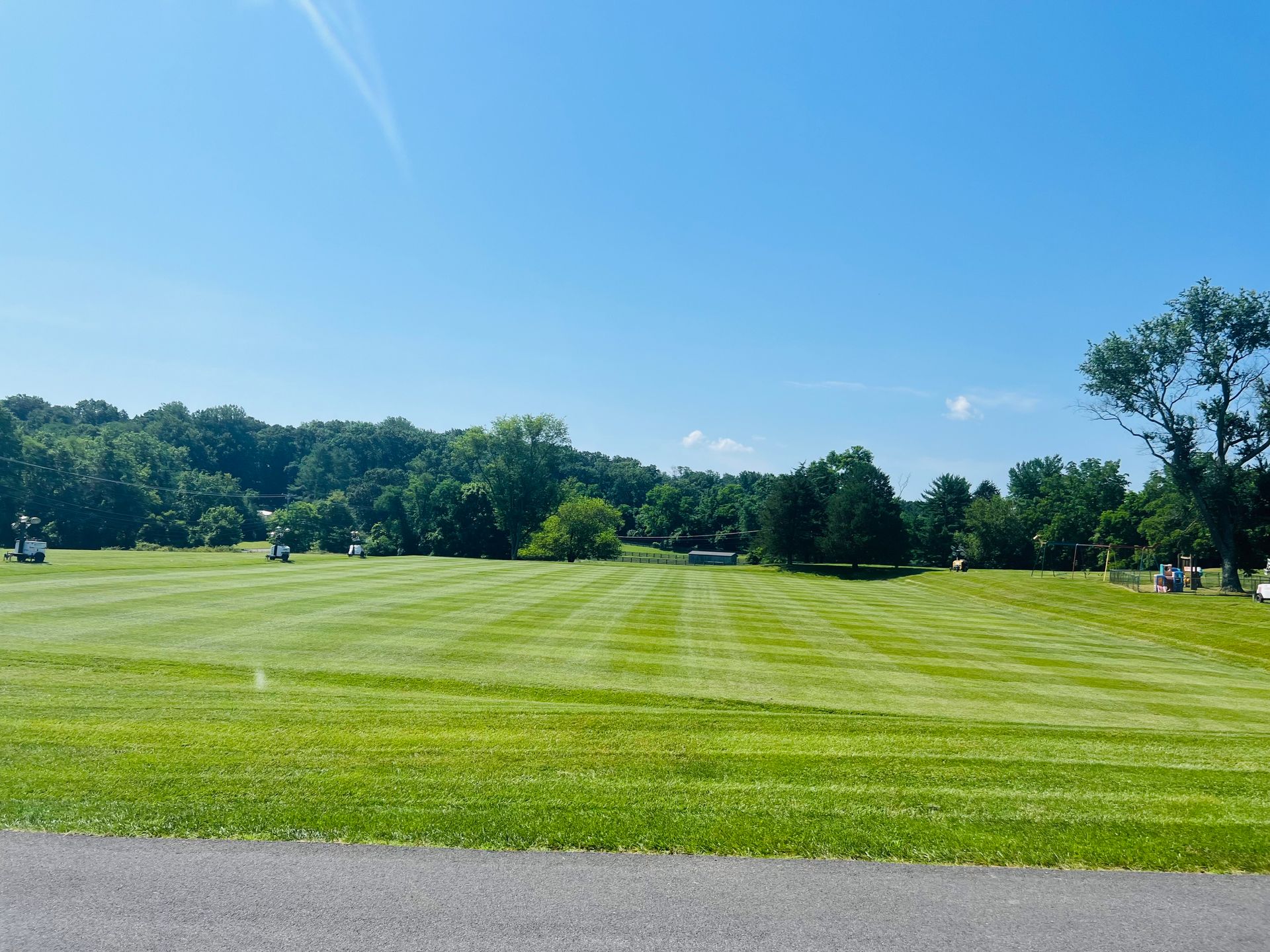 A large grassy field with trees in the background on a sunny day