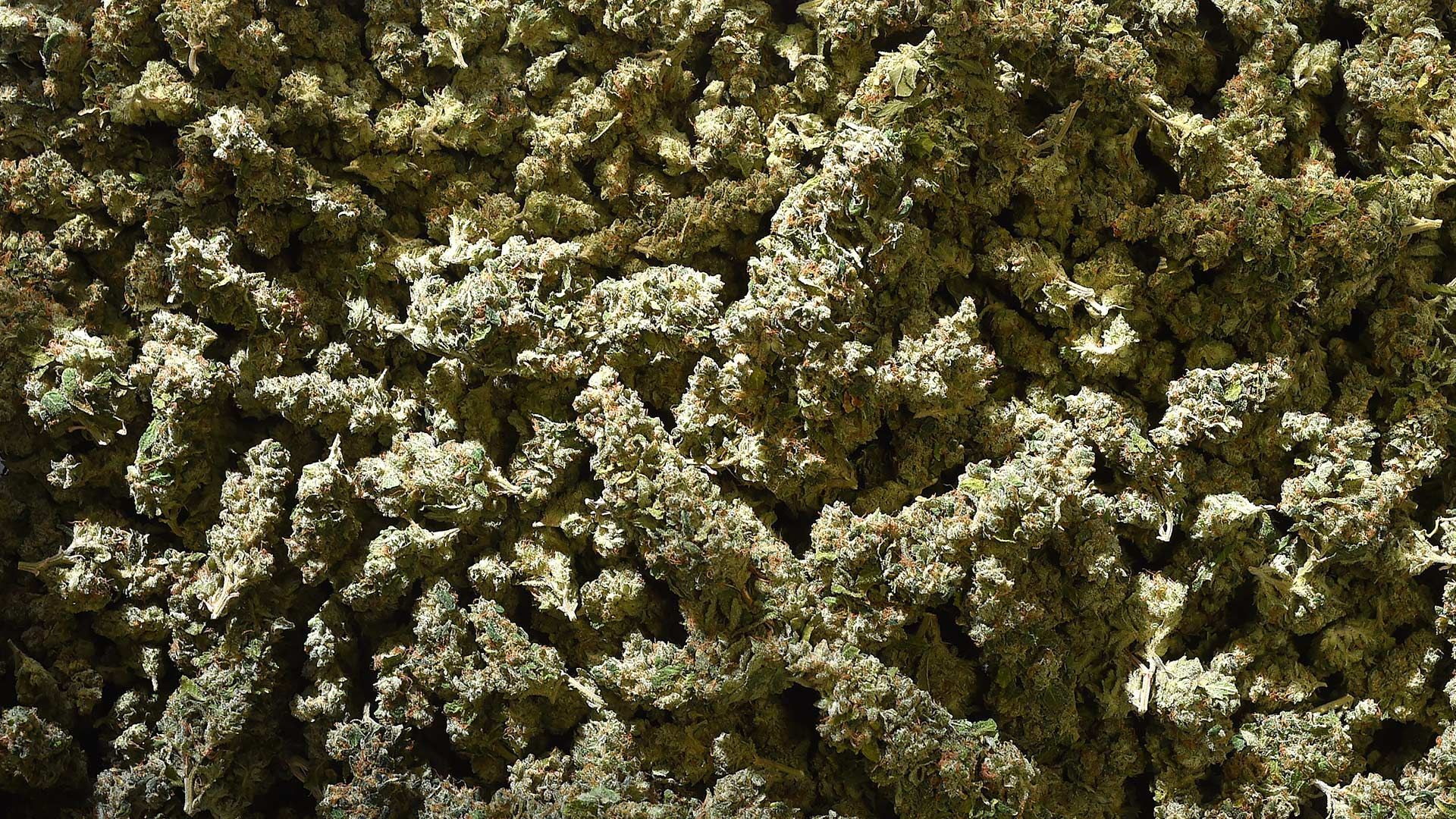 Close-up of dense, frosted green and tan cannabis buds, showcasing crystalline trichomes.