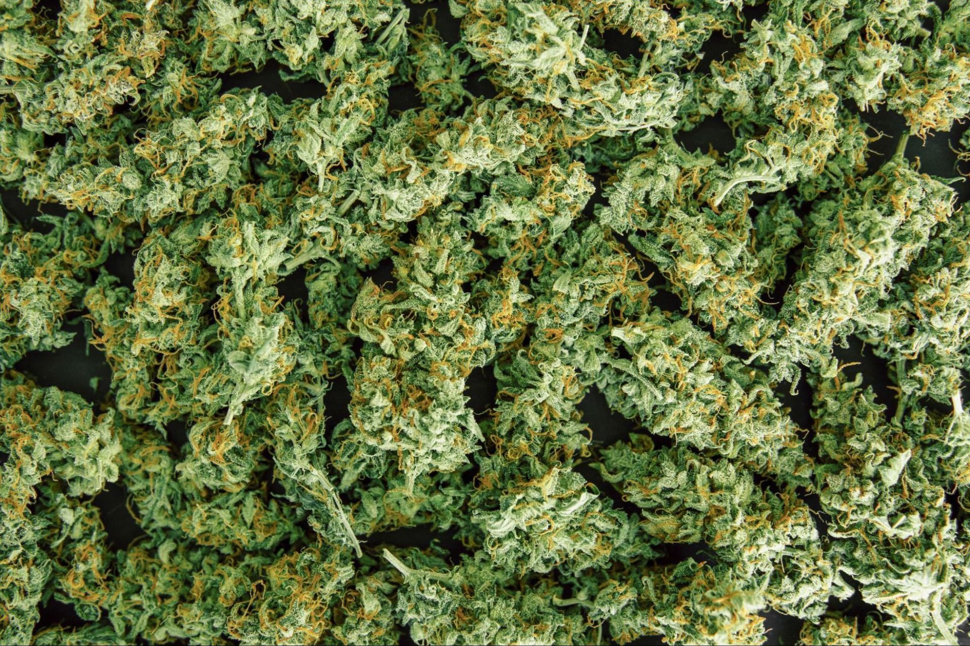 Green and brown cannabis buds.