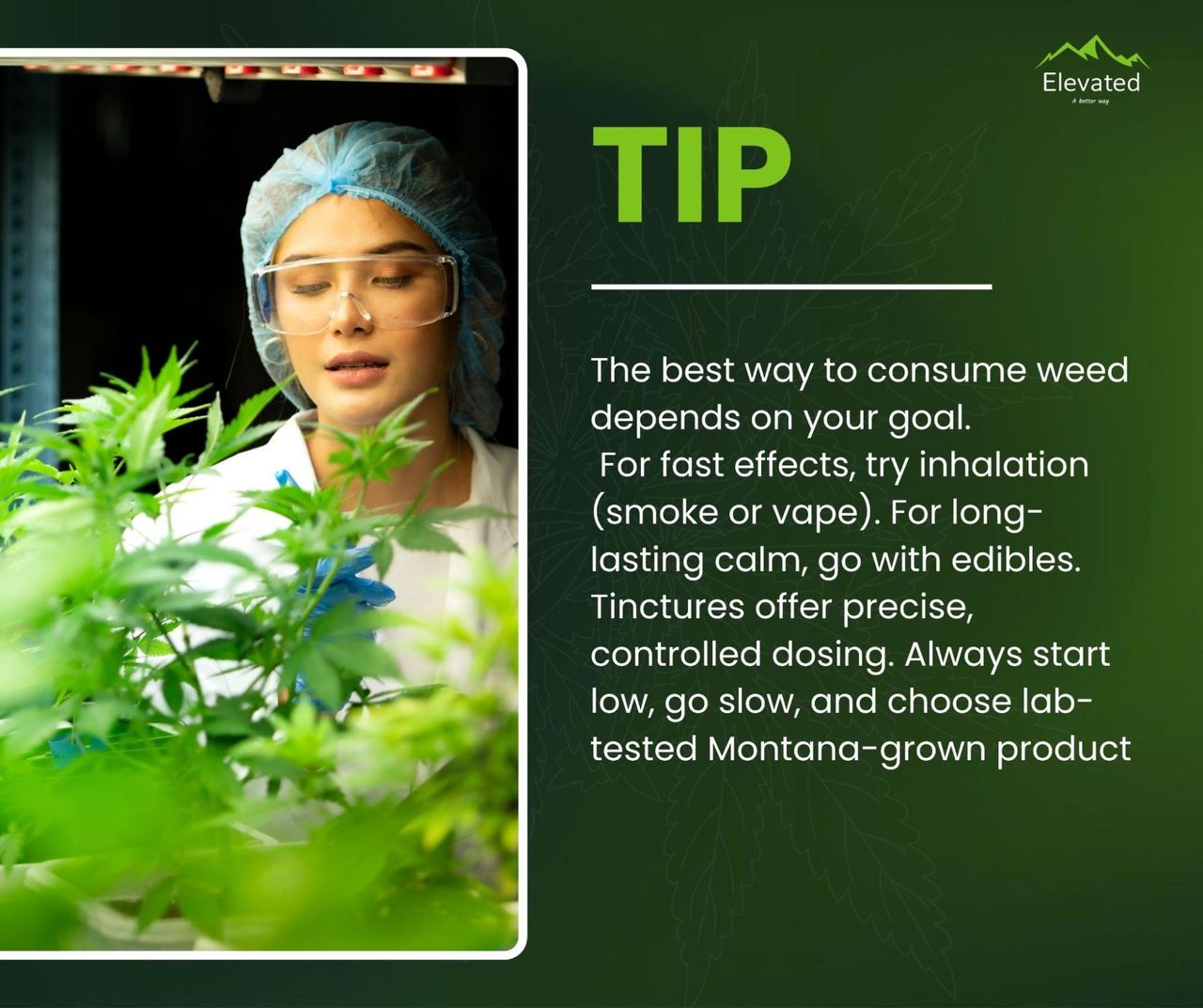 elfbar nachfüll pod läuft aus Best Way to Consume Weed