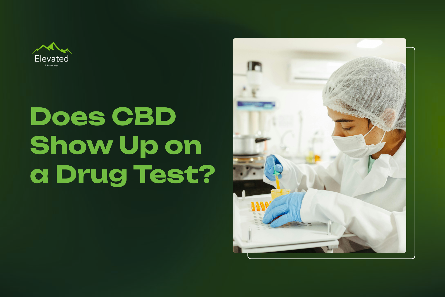 Does Cbd Oil Show Up In A Drug Test