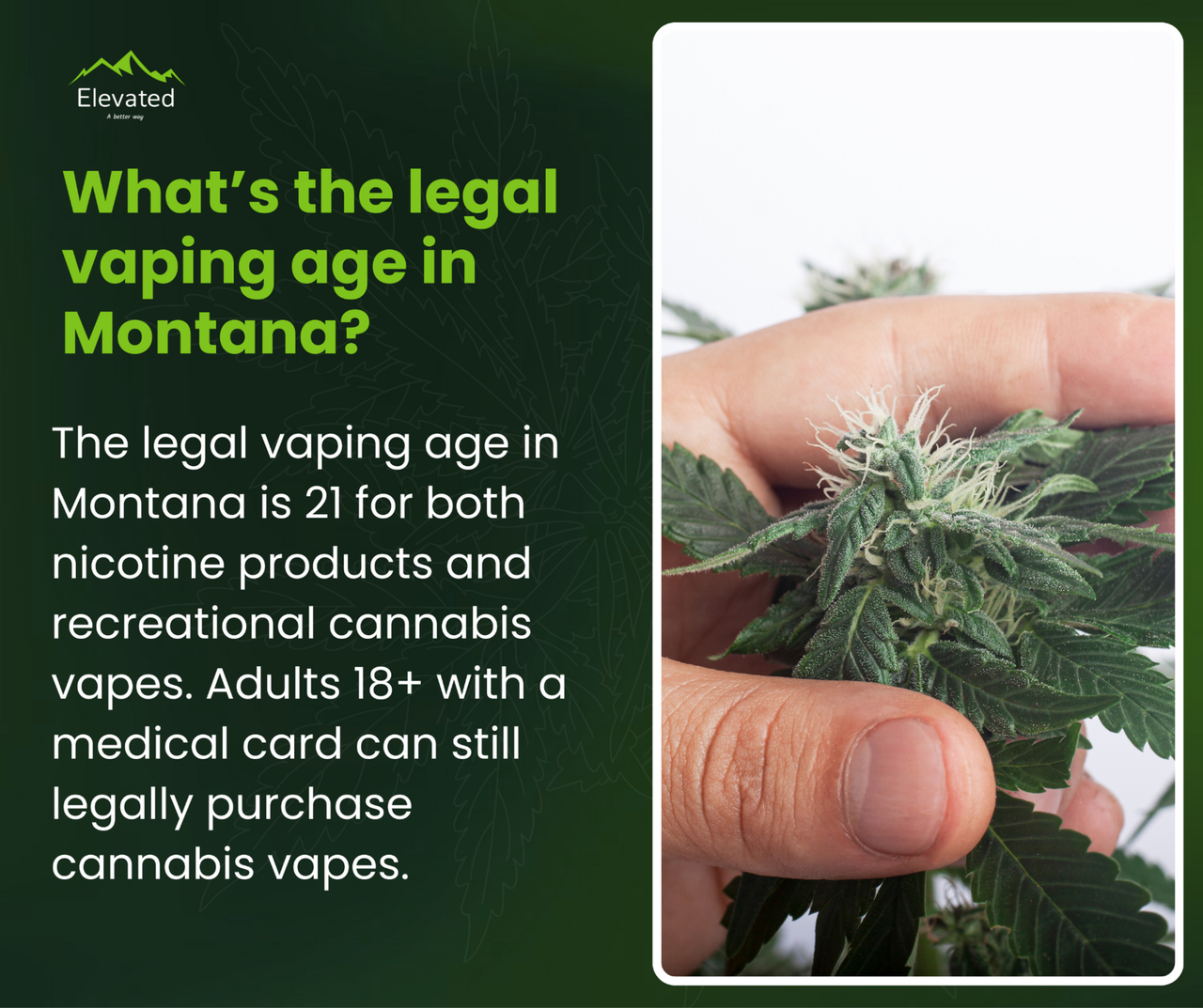 Vaping Age in Montana: Laws, Rules & Compliance Guide