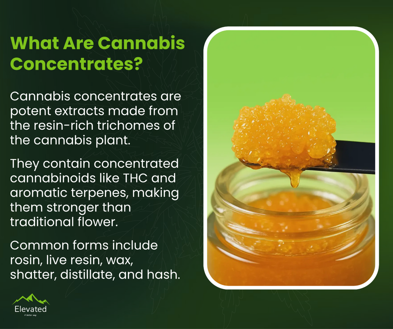 Cannabis Concentrates Explained: Types & How to Choose