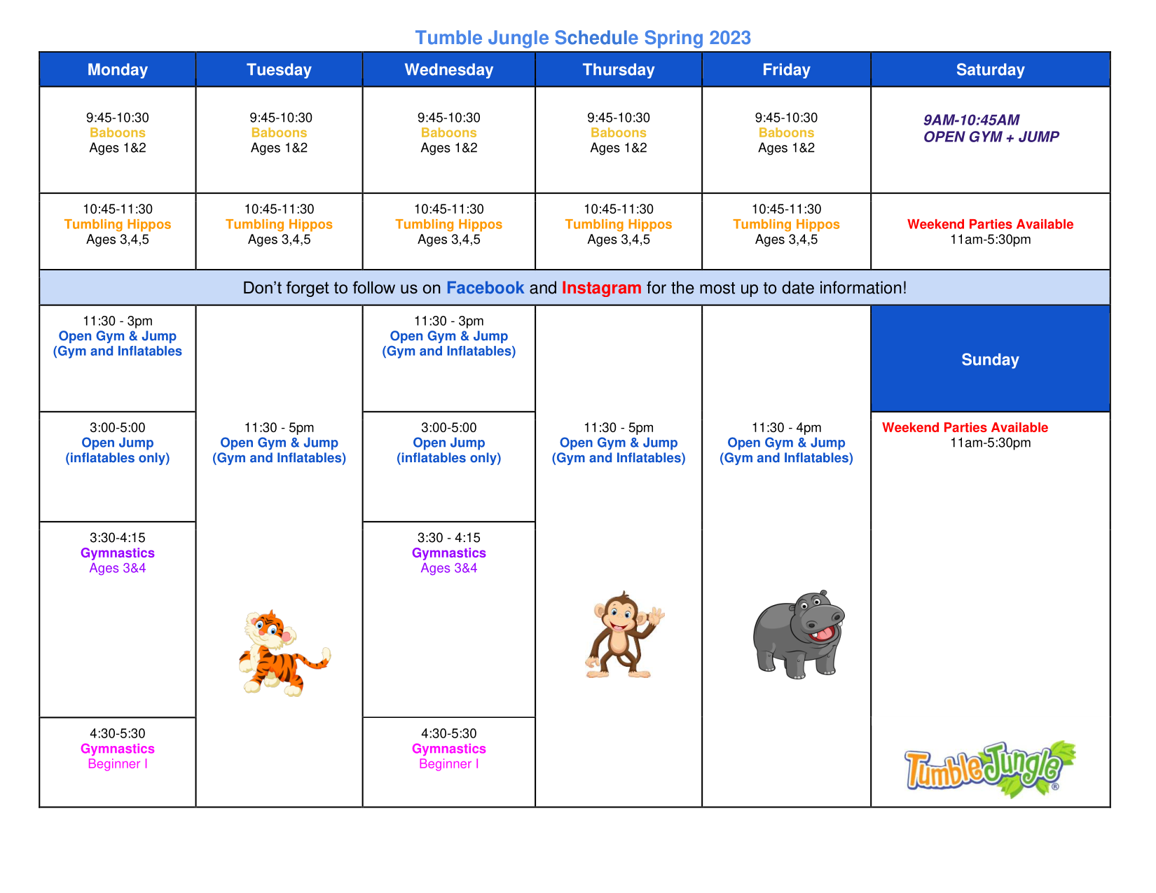 Kids Birthday Parties Westport, Norwalk & Darien, CT Tumble Jungle