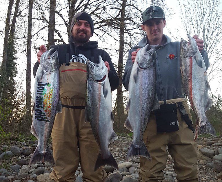 Cowlitz River Fishing Guides | Rip Some Lips Guide Service