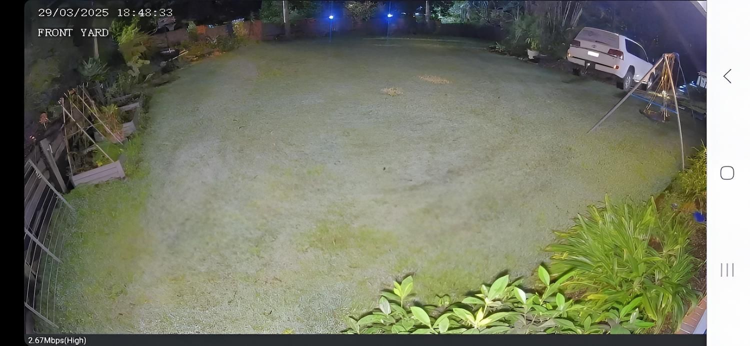 A Nighttime Surveillance View of a Grassy Yard — X-Mod Security In Landsborough, QLD