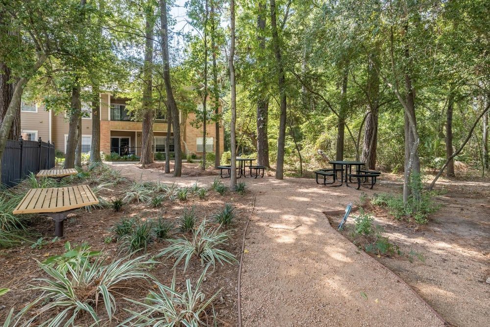 a picnic area with tables and benches in the middle of a forest at Marquis at Kingwood in Kingwood, TX.