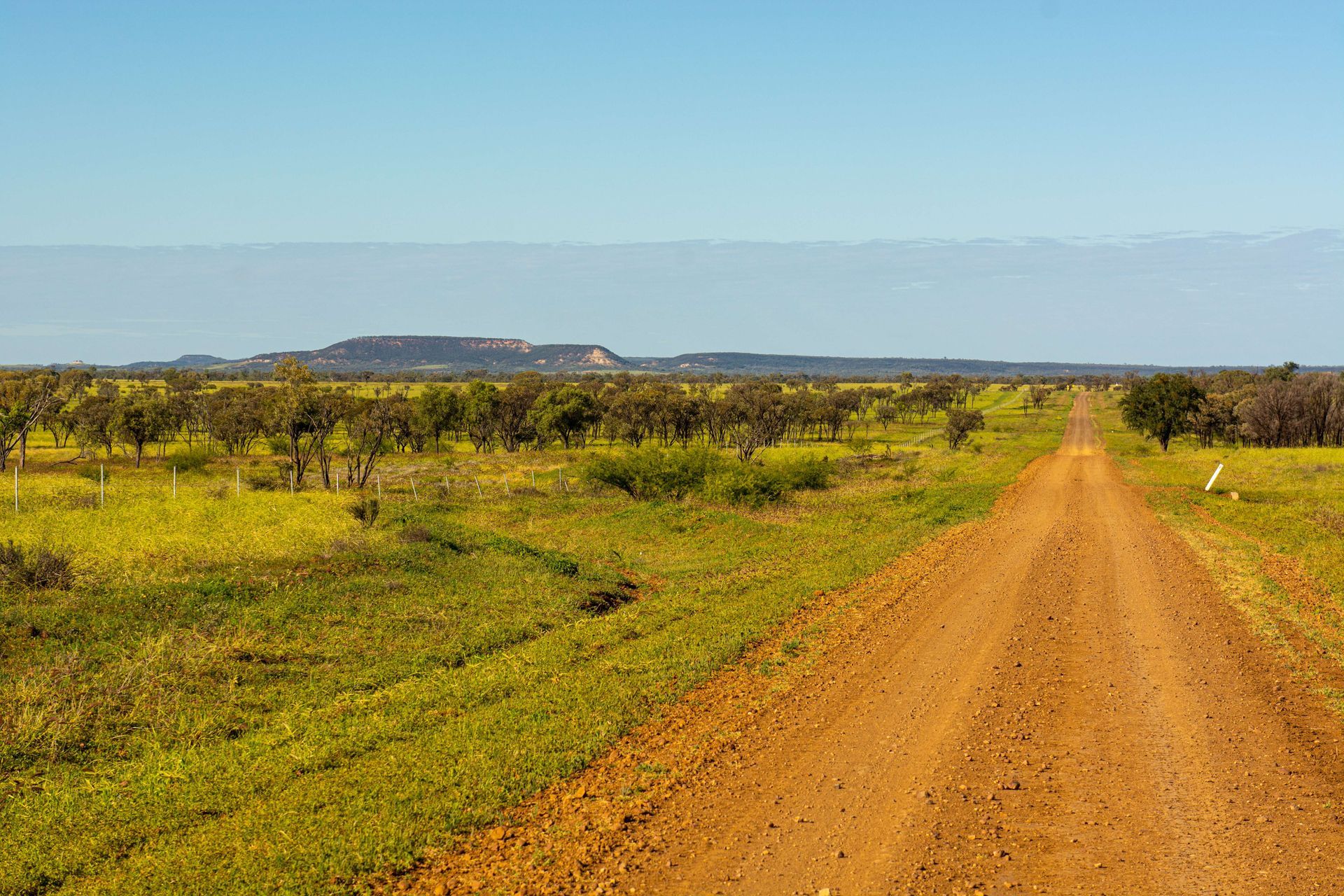 Dirt Road Through a Grassy Field, Trees, and a Distant Mesa — Israel Jones Painting in Idalia, QLD