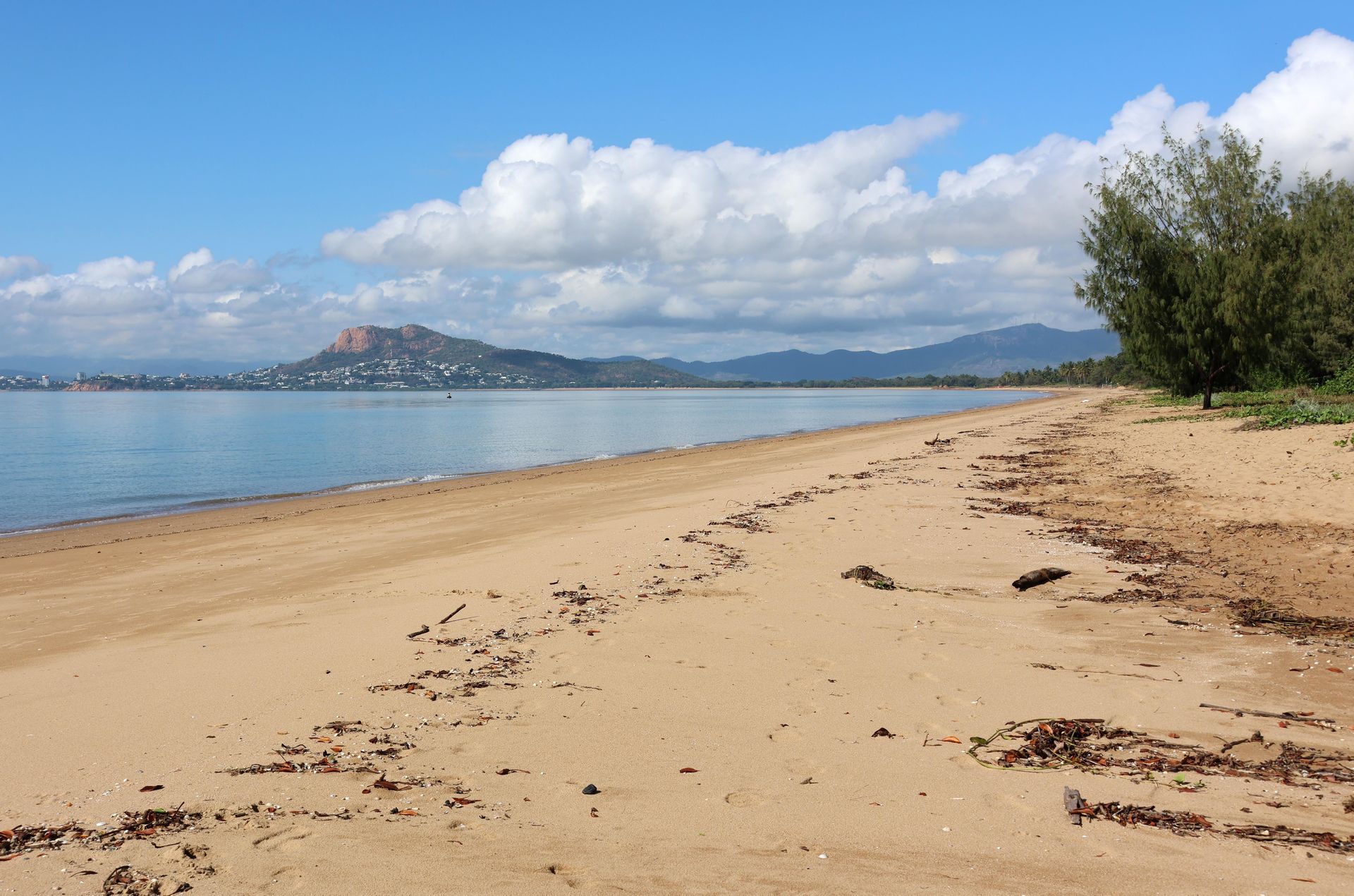 Sandy Beach Along a Blue Ocean — Israel Jones Painting in Pallarenda, QLD
