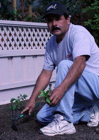 Alfredo Horta — Mezzetti Law Firm in San Jose, CA