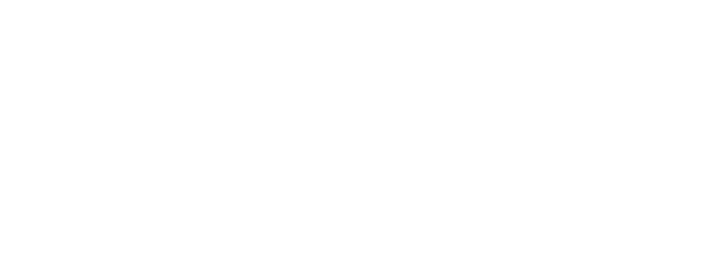 transfer livigno logo