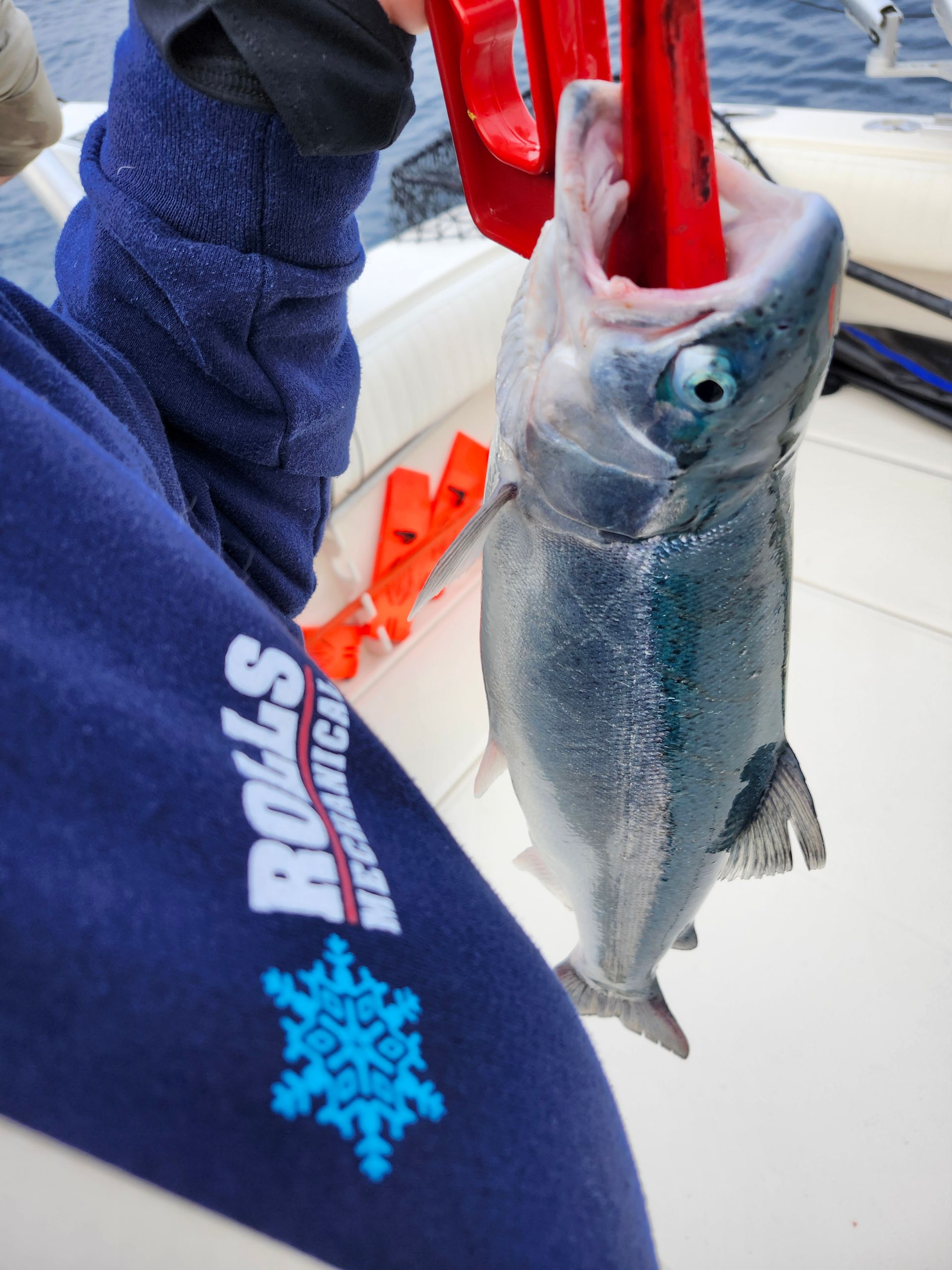 Person holding a silver fish in a red gripper on a boat. The fish has a blue eye, and the person wears a blue sleeve with snowflake design.