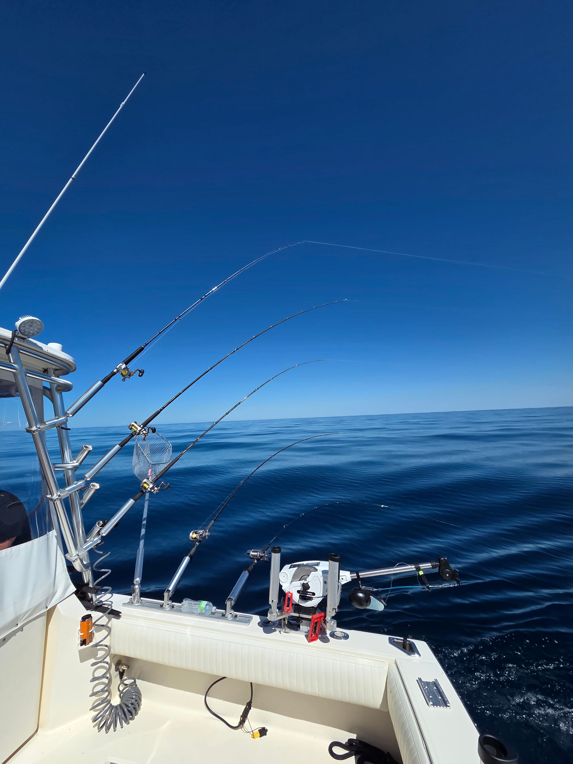 Fishing rods on a boat, set against a blue sky and ocean.