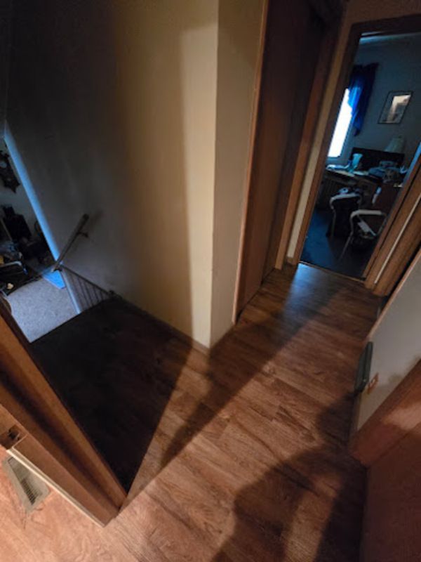 Hallway with wood-look floor. Doorways to left and right. Staircase leading down on the left.