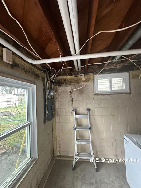 Basement interior with ladder, electrical panel, window, exposed wiring, and concrete block wall, likely with mold.