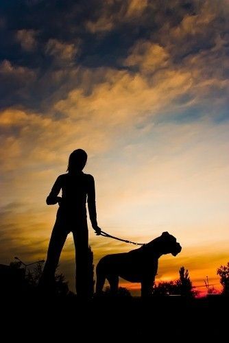 woman walking a dog at dusk