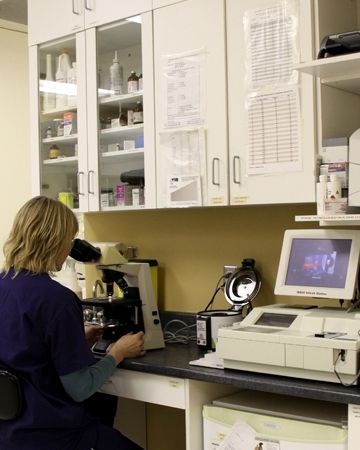 A woman is looking through a microscope in a lab.