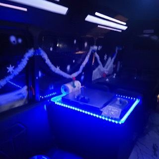 30 - 35 Passenger Party Bus Rental