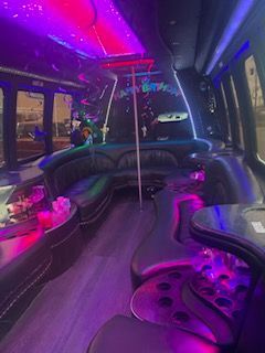 22 Passenger Party Bus