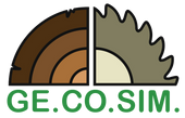 GE.CO.SIM. - Logo