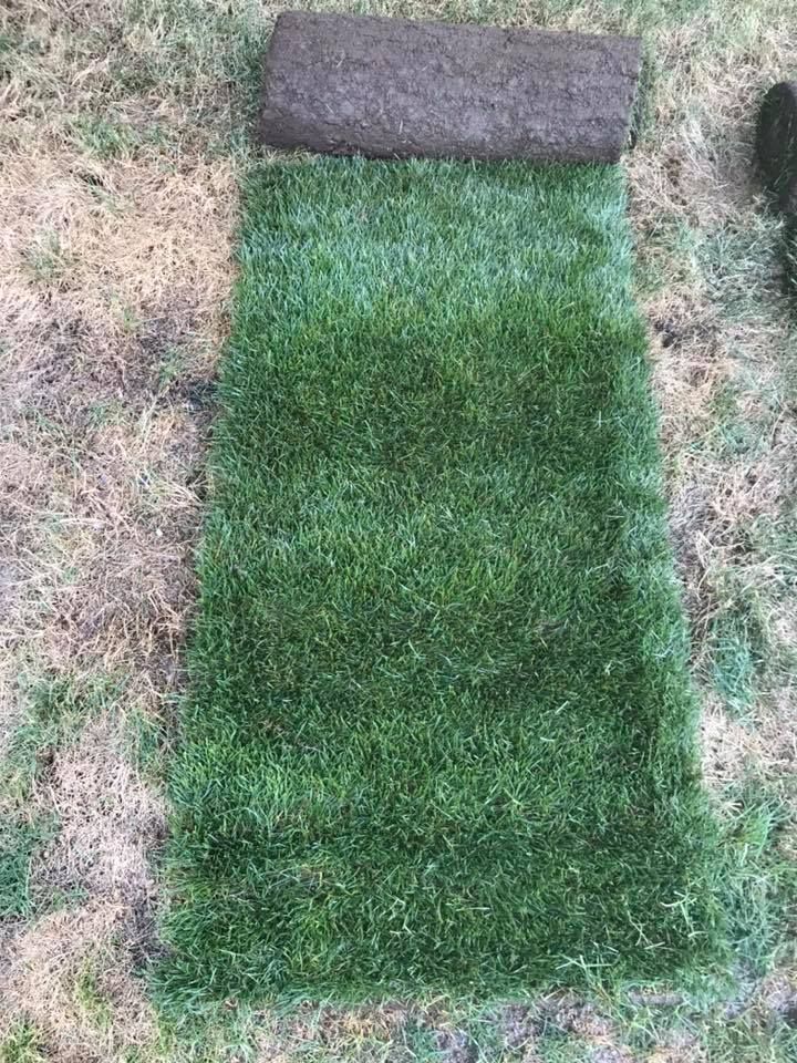 A roll of green grass is sitting on the ground.