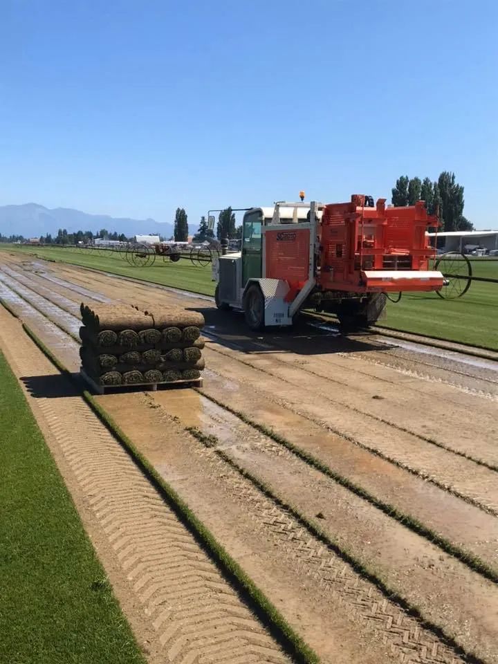 A truck is driving down a dirt road next to a field of grass.