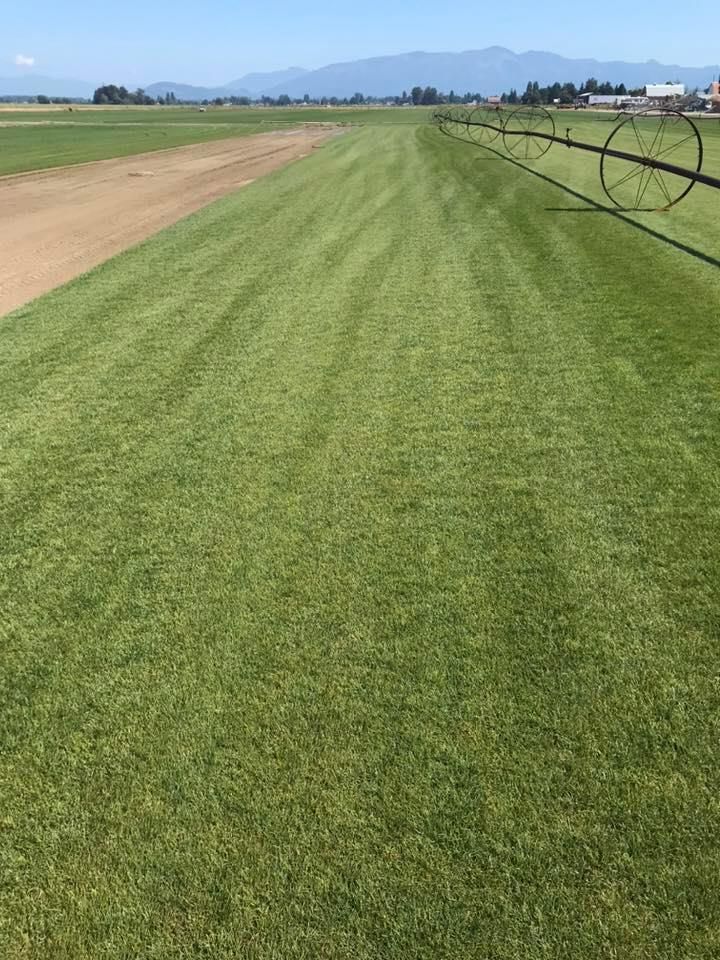 A lush green field with a fence and mountains in the background.