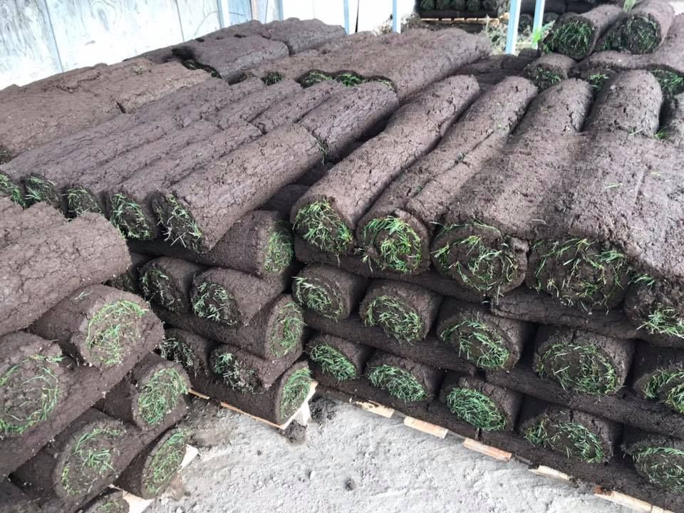 A bunch of rolls of turf are stacked on top of each other.