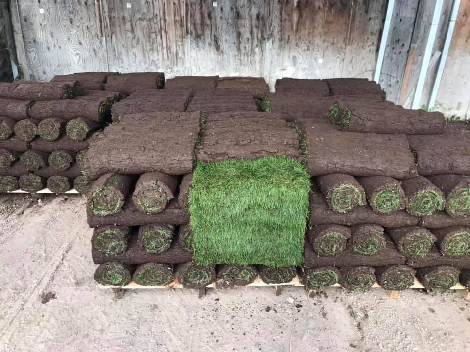 A bunch of rolls of grass are stacked on top of each other on a wooden pallet.
