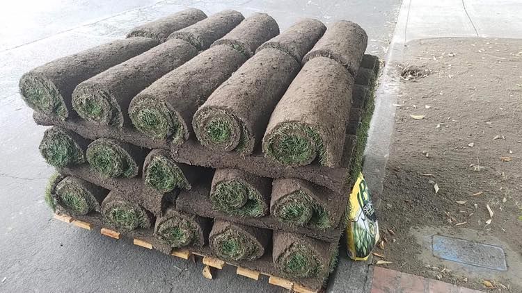 A pile of rolls of turf sitting on top of a wooden pallet.
