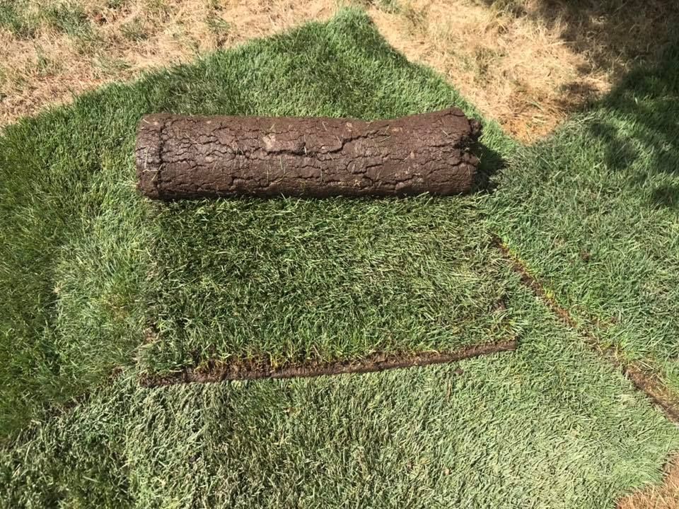 A roll of turf is sitting on top of a patch of grass.