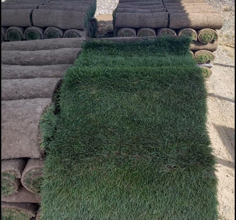 A bunch of rolls of grass are stacked on top of each other.