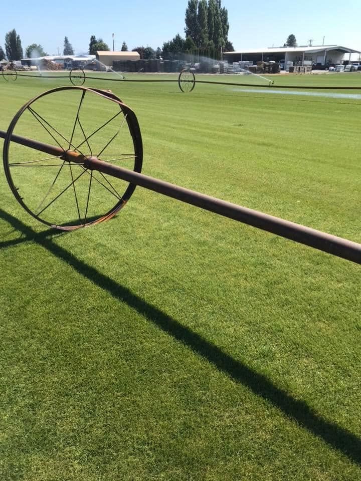 A wagon wheel is sitting on top of a lush green field.