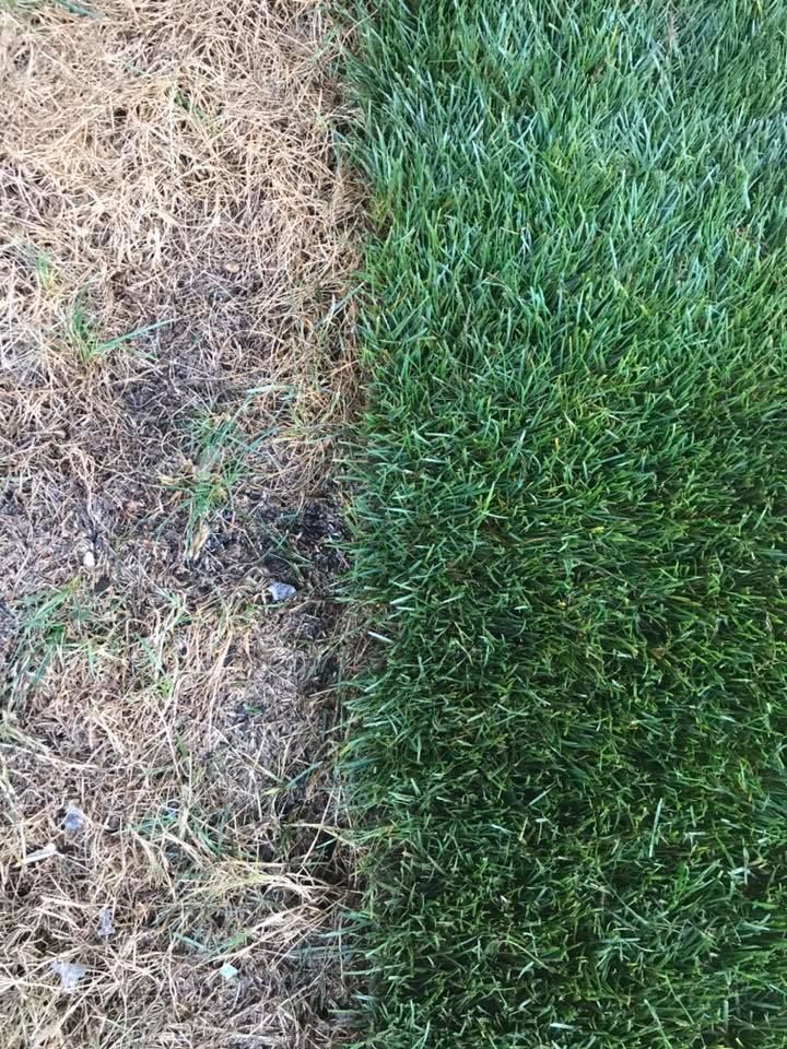 A picture of a lawn before and after being cut.