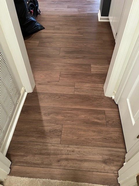 Dark wood-look flooring in a doorway. White door frames and carpeted entrance are visible.