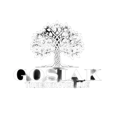 Gosiak Tree Service LLC logo in white