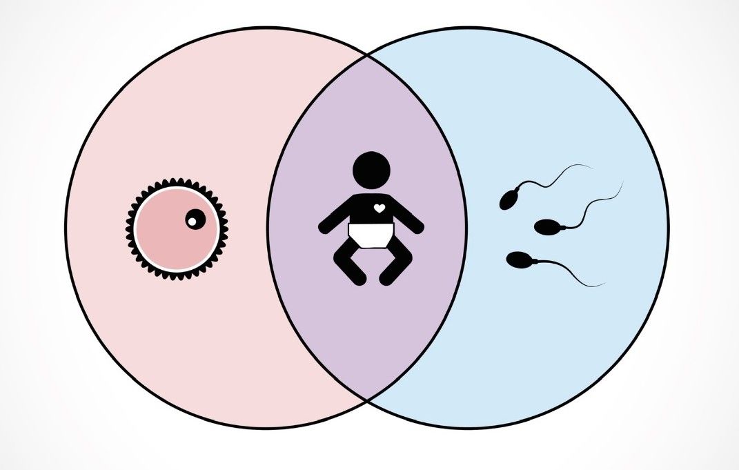 Fertility Acupuncture