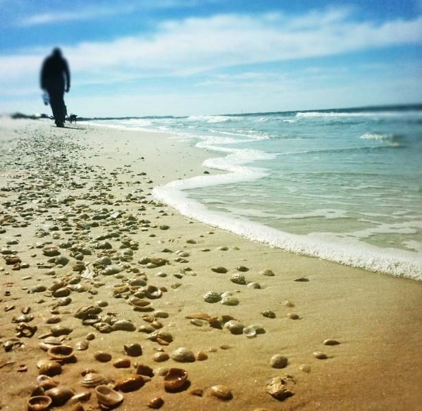 Shell collecting, walking on the beach