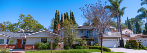 A row of houses on a sunny day with palm trees in the background.