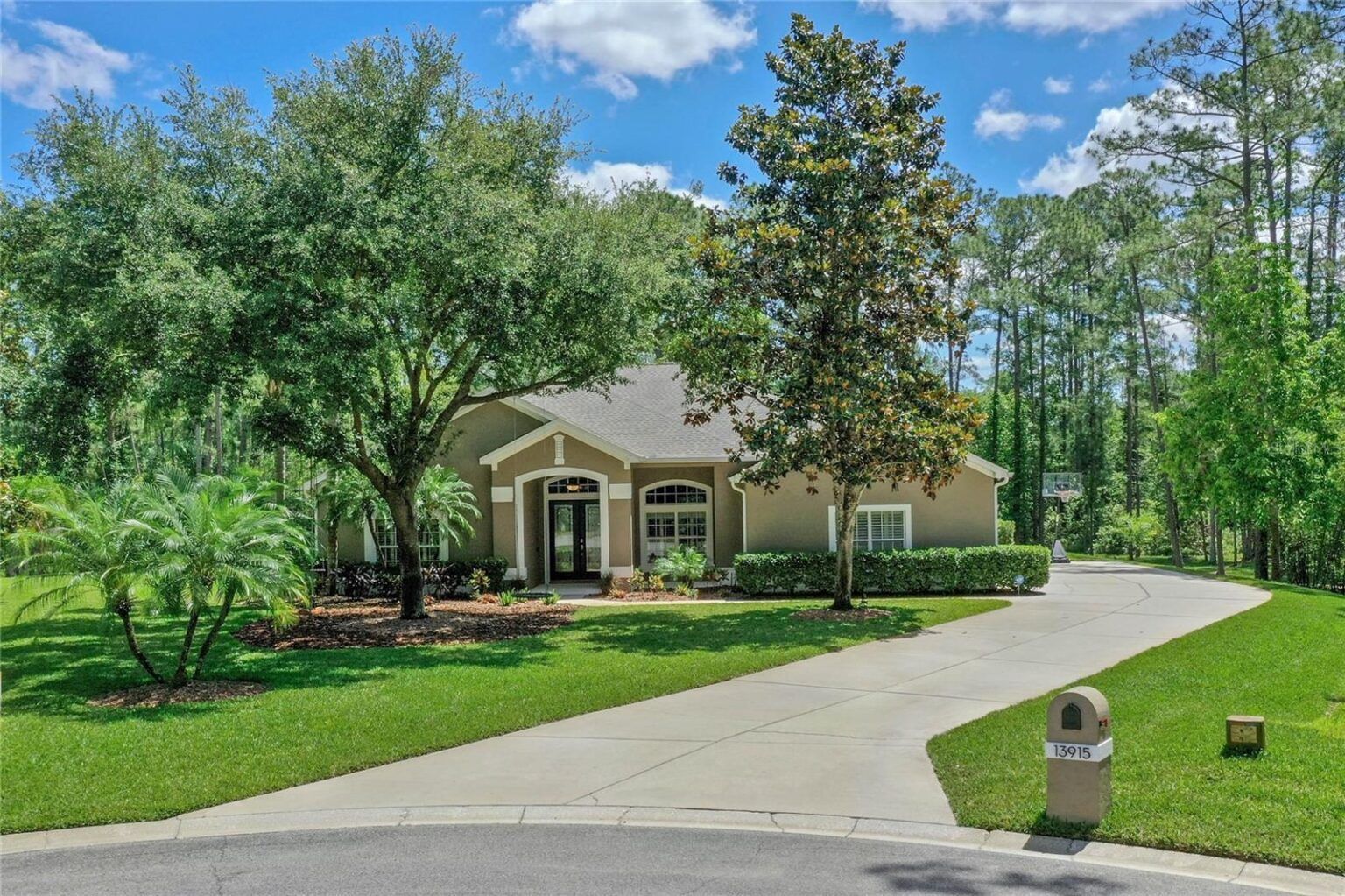 A house with a driveway and trees in front of it